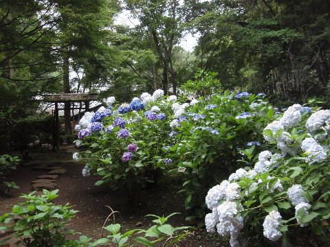 久良岐能舞台の日本庭園