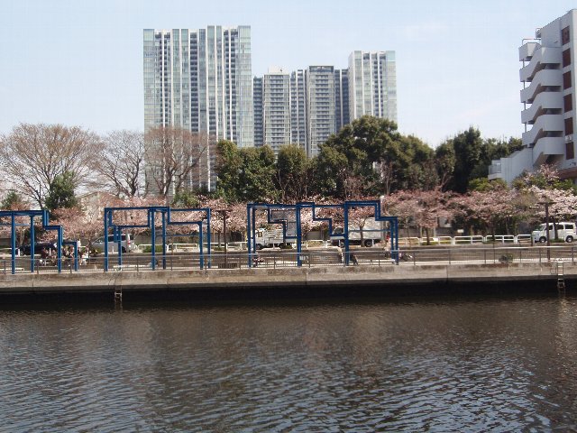 高浜運河の桜