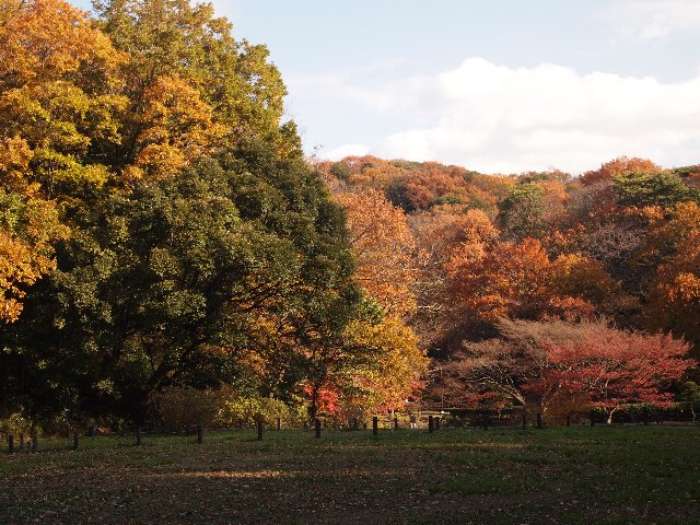 久良岐公園