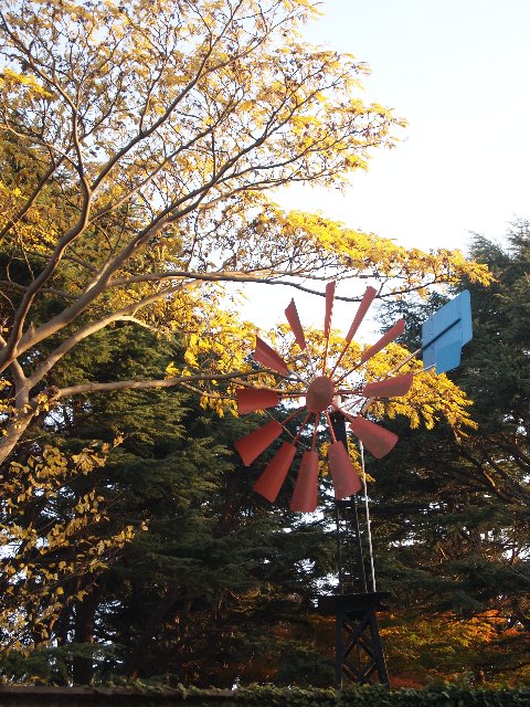 港の見える丘公園