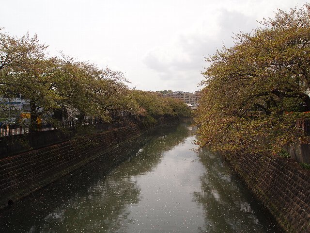 大岡川