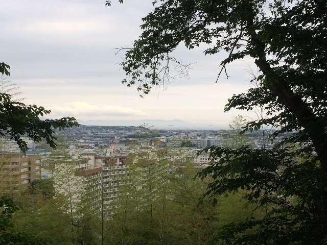 八幡山