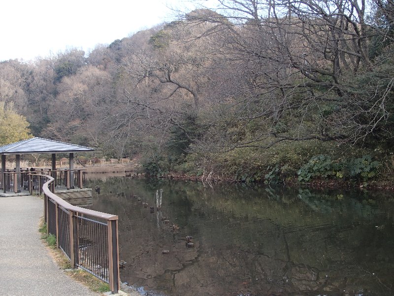 久良岐公園