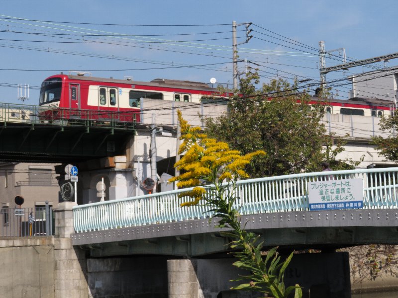 大岡川