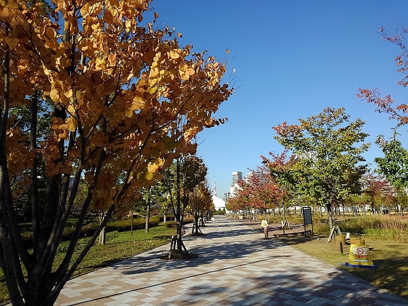 芝浦中央公園