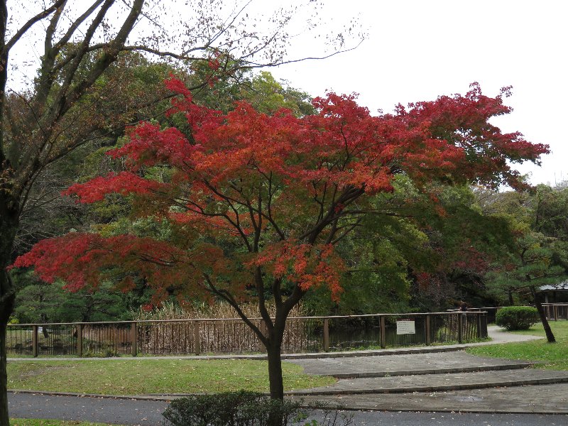 久良岐公園