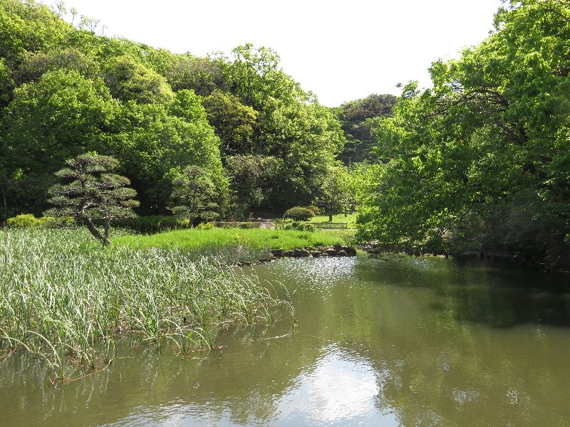 久良岐公園大池