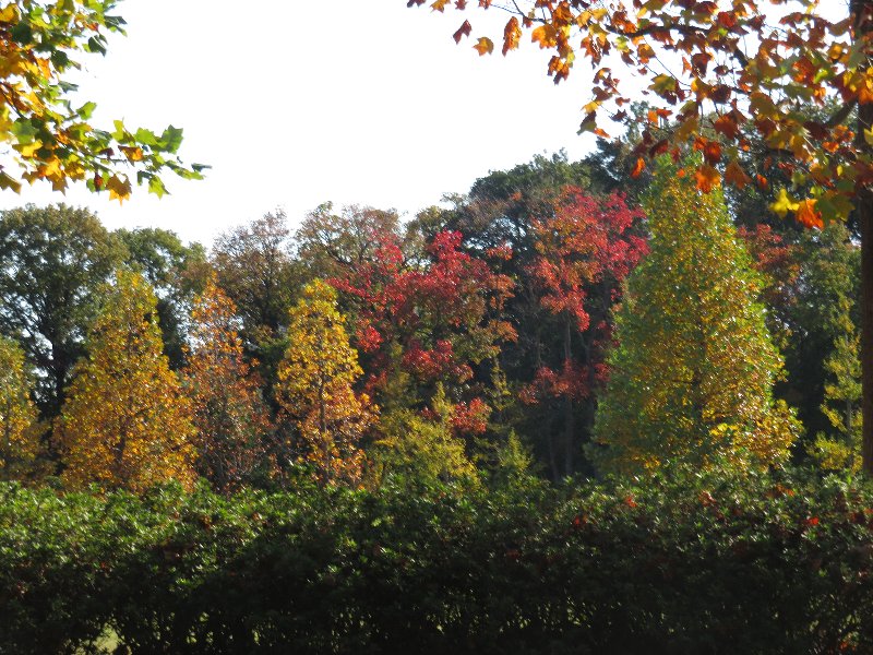 久良岐公園