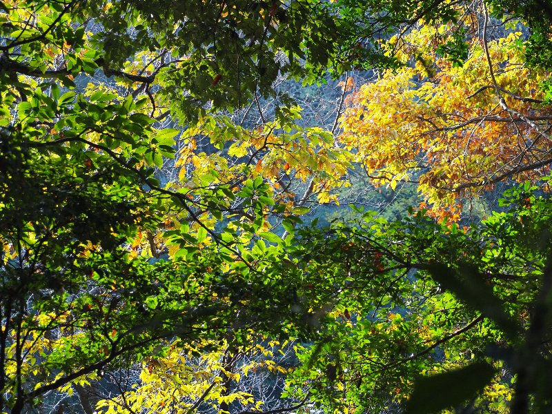 久良岐公園