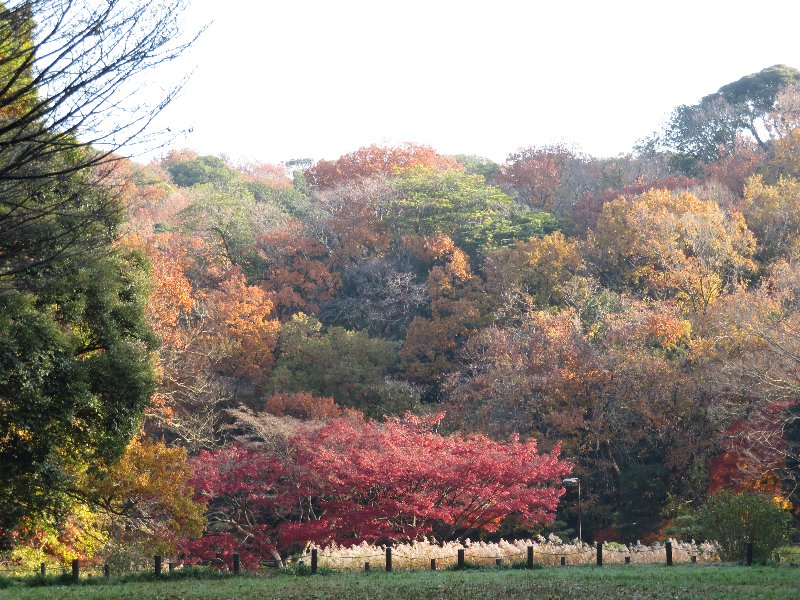 久良岐公園