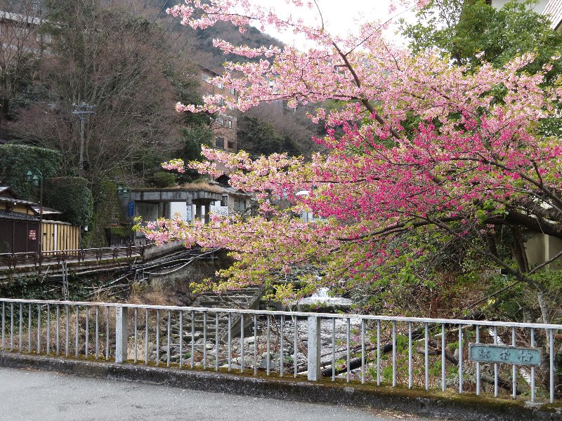 箱根湯本