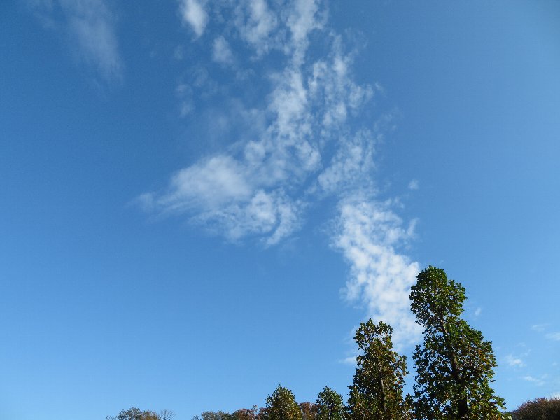 久良岐公園