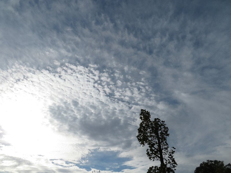 巻積雲