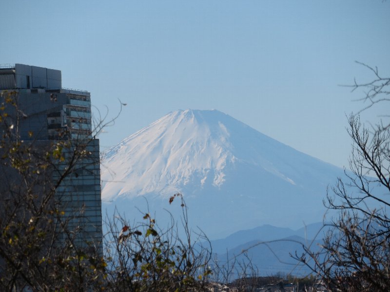 雑木の広場から富士山