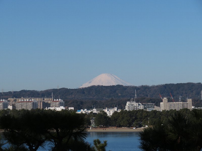 富士山（丘の広場）