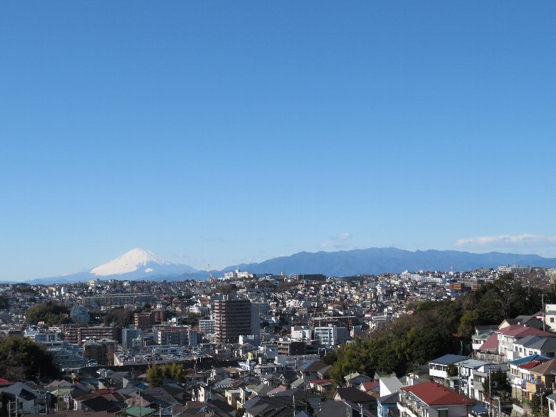 富士山と丹沢