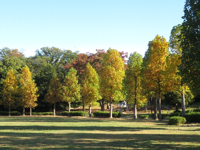 久良岐公園