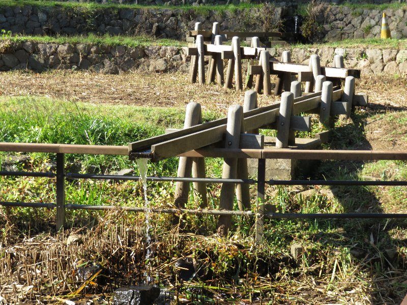 久良岐公園