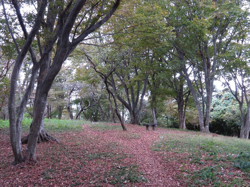 久良岐公園