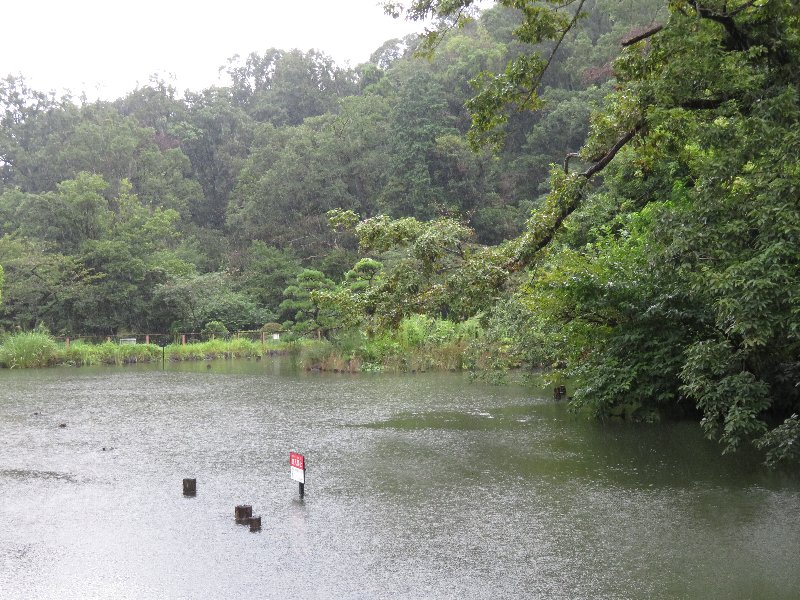 久良岐公園大池