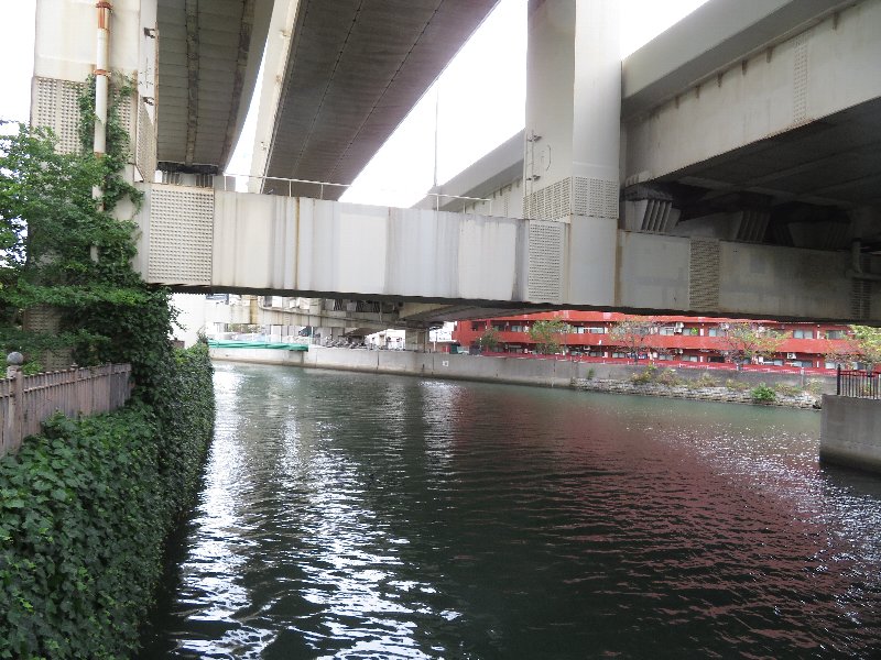 大岡川（蒔田公園付近）