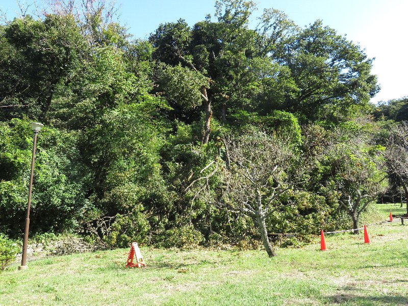 久良岐公園