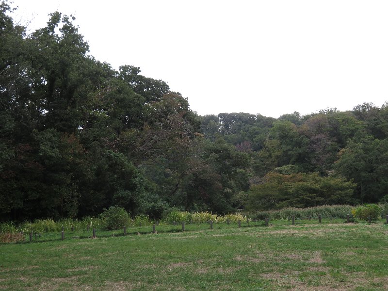 久良岐公園