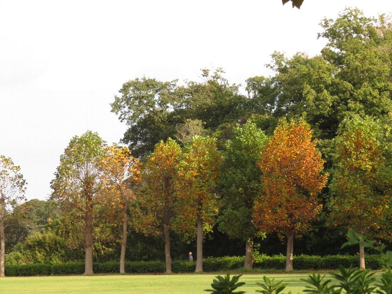 久良岐公園