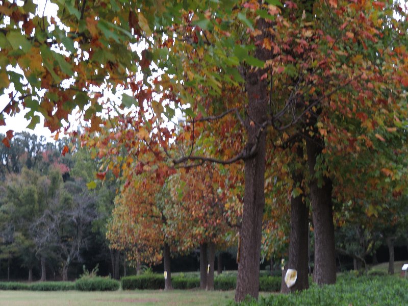 久良岐公園