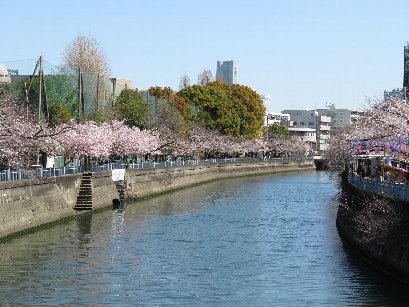 大岡川