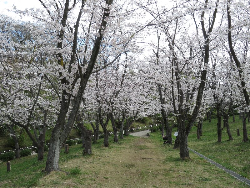 久良岐公園