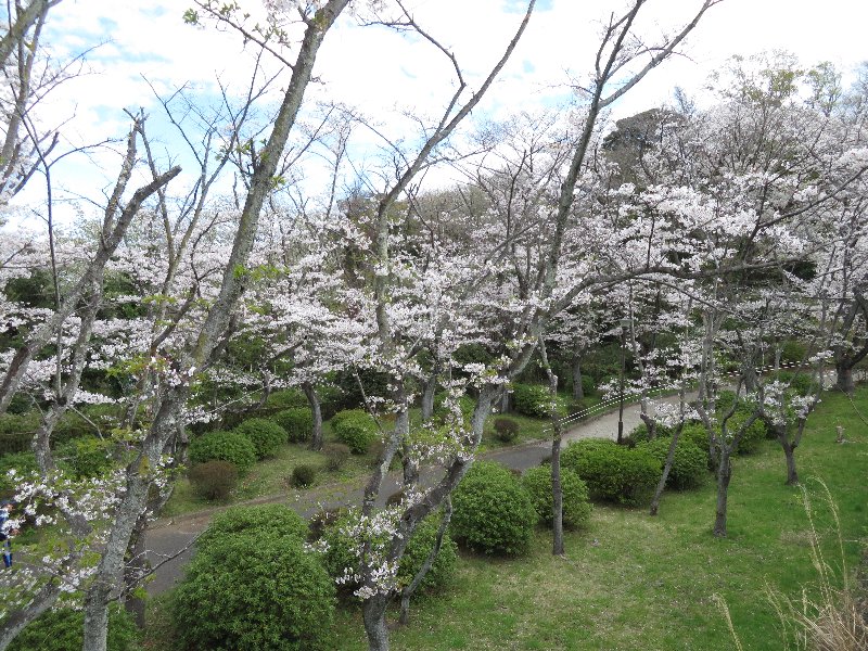 久良岐公園