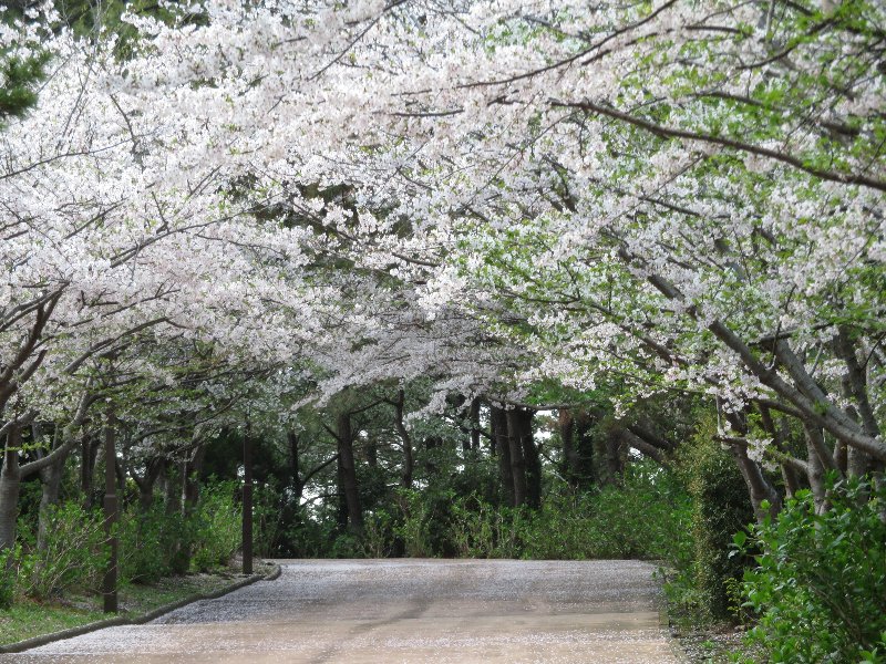 八景島シーパラダイス