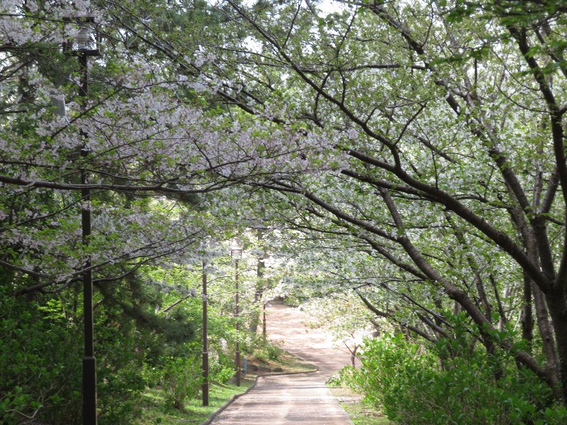 八景島シーパラダイス