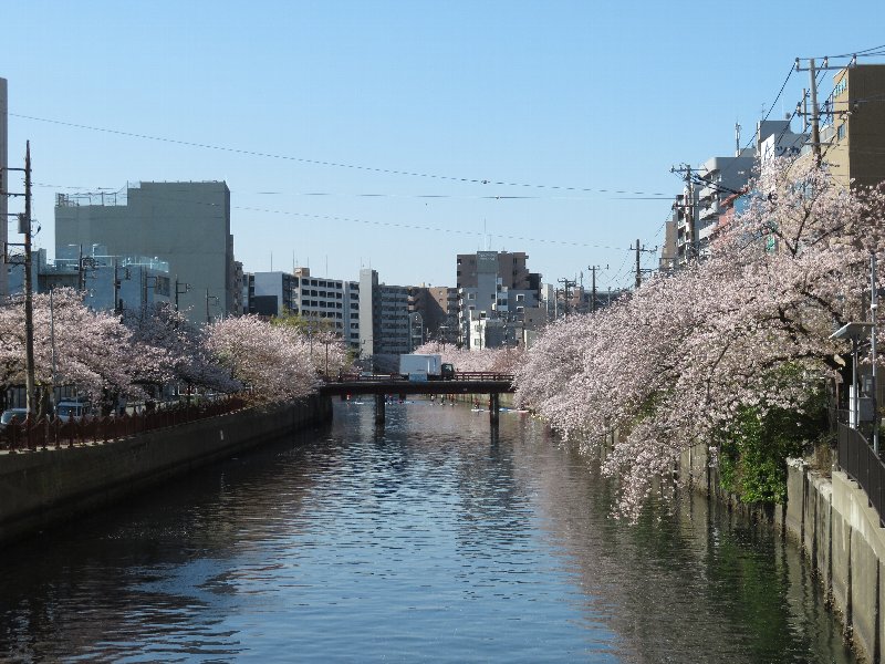 大岡川