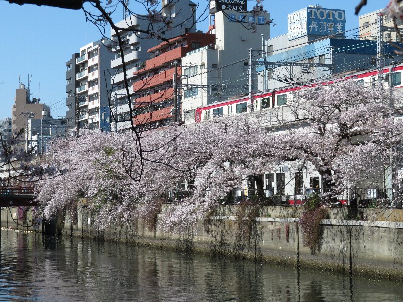 大岡川