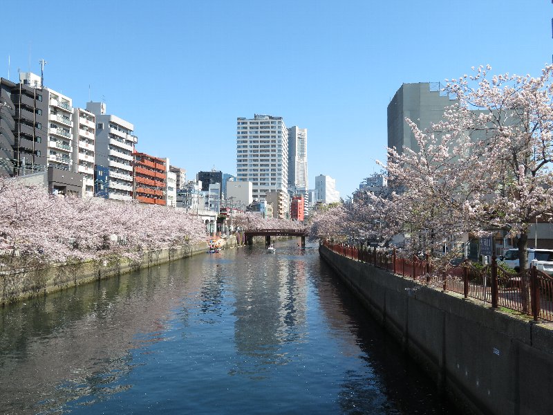 大岡川