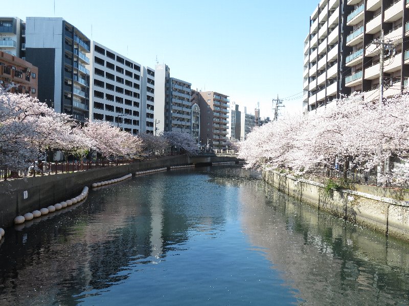 大岡川