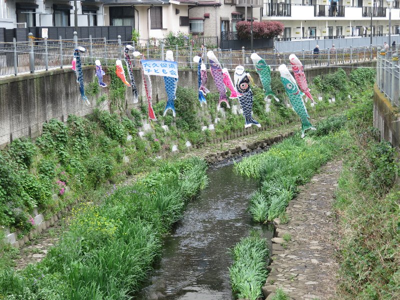 大岡川