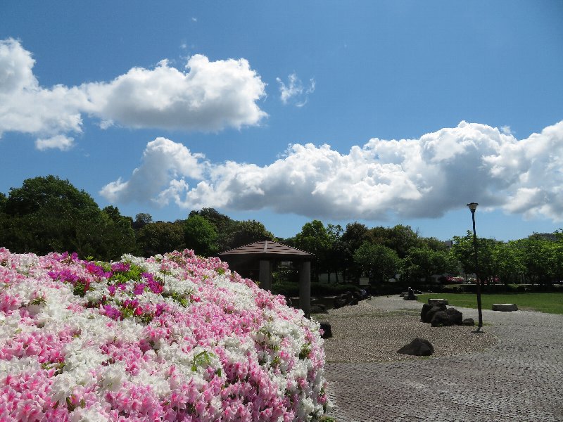 日野中央公園