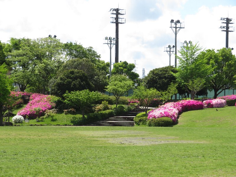 日野中央公園