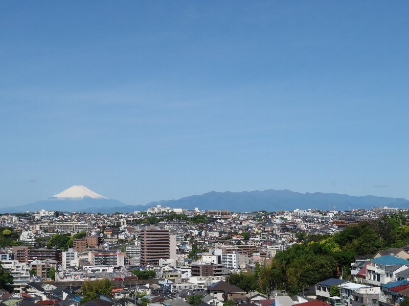 富士山と丹沢
