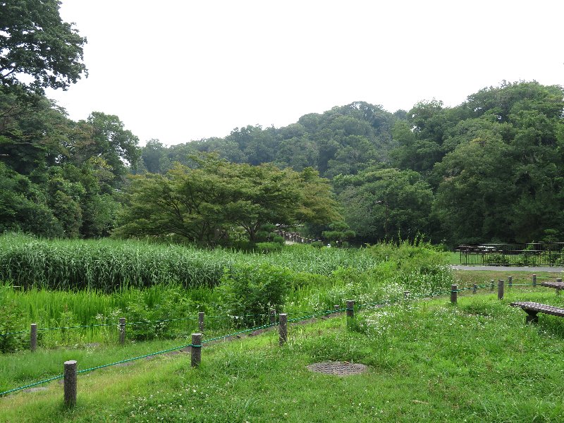 久良岐公園