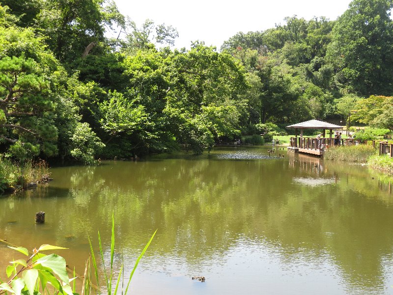 久良岐公園大池