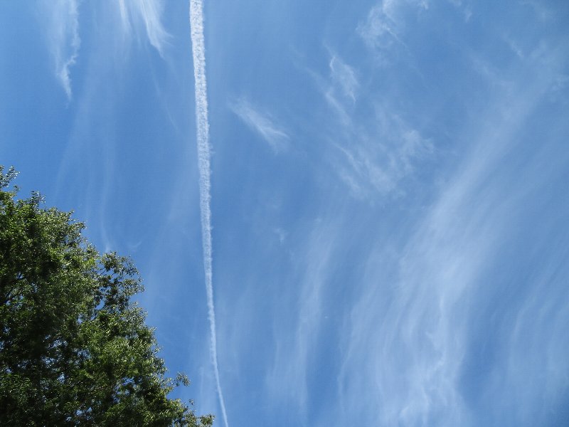 夏空